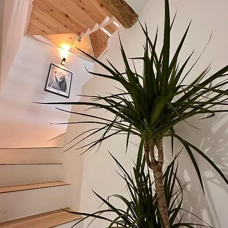 Villa Laura'S Haus à Tudela Extérieur photo